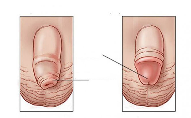 which task of lubricating oil does